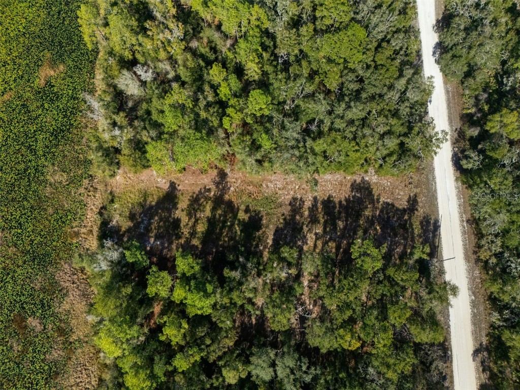 0 Alloy Street Webster FL 33597 W7881610 image4