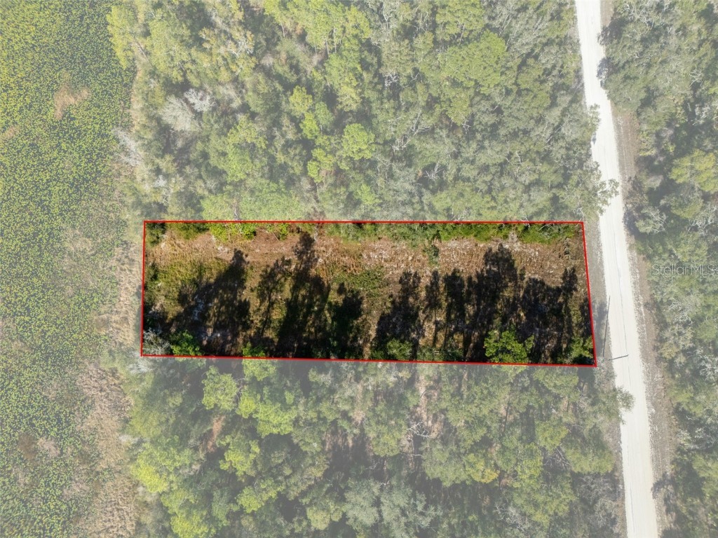 0 Alloy Street Webster FL 33597 W7881610 image5