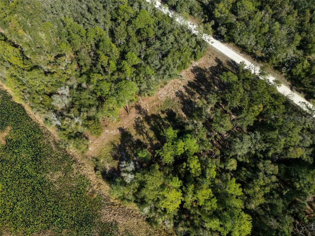 0 Alloy Street Webster FL 33597 W7881610 image6