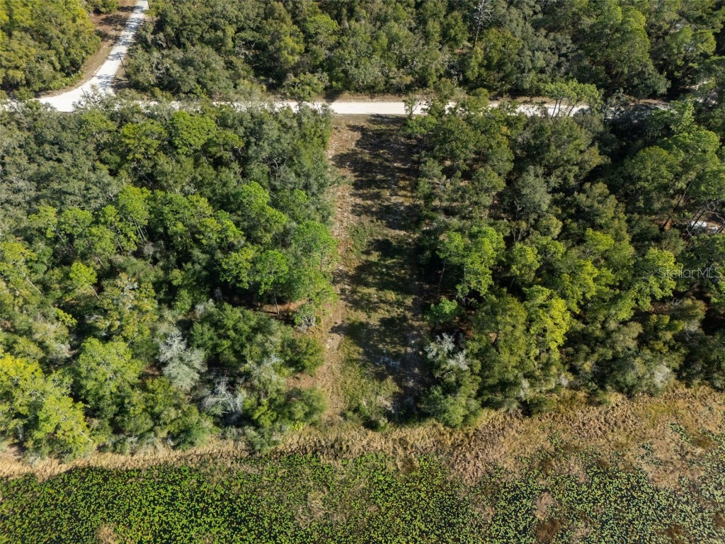 0 Alloy Street Webster FL 33597 W7881610 image7