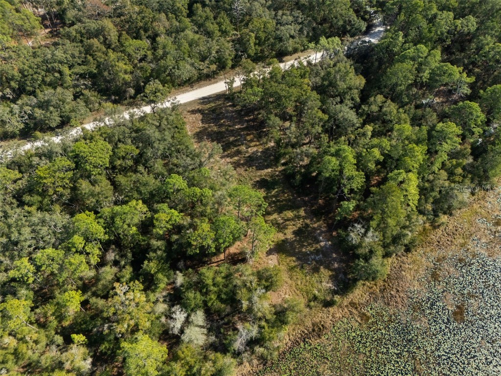 0 Alloy Street Webster FL 33597 W7881610 image9