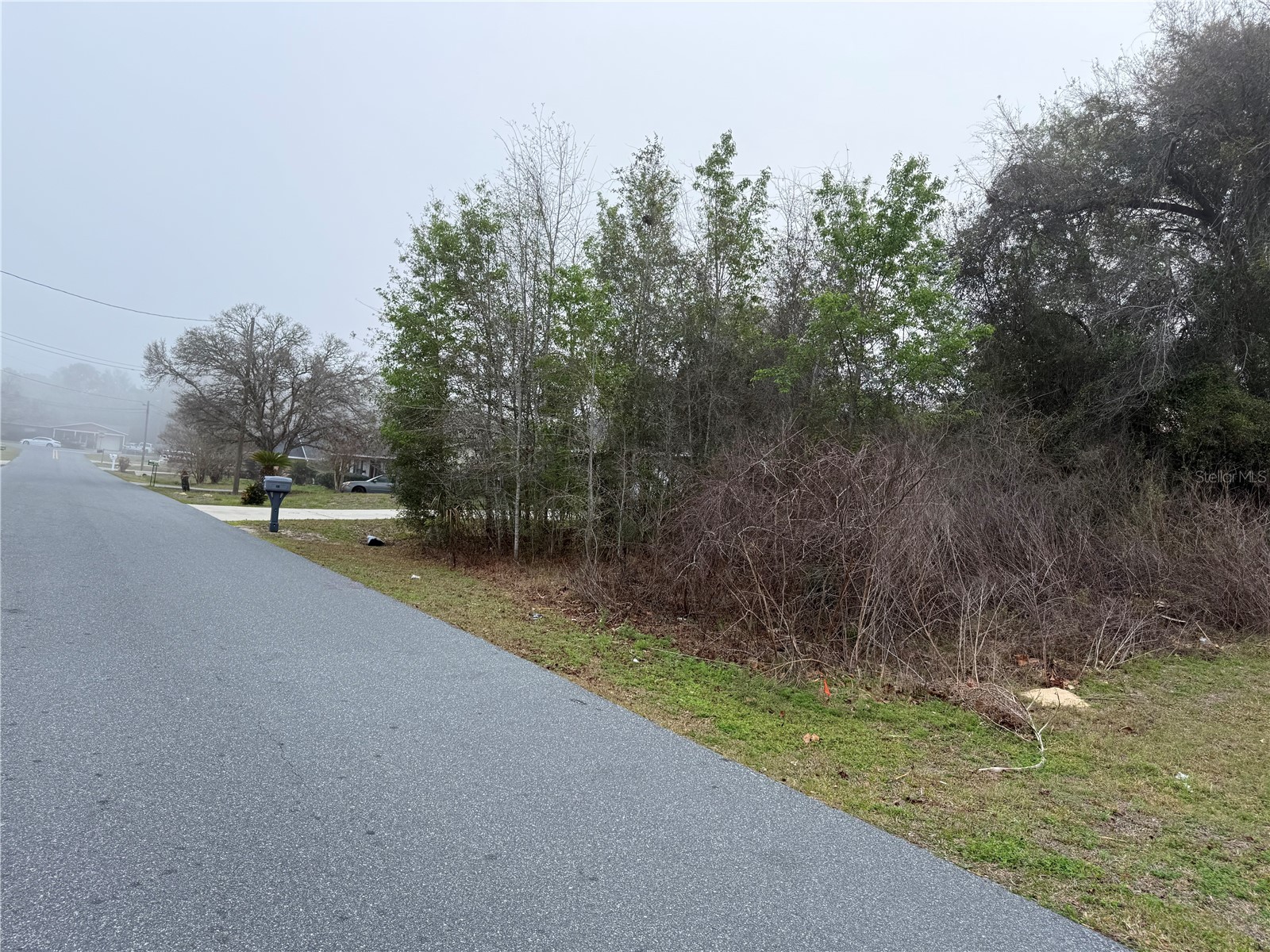 0 Almond Way Ocala FL 34472 OM720161 image1