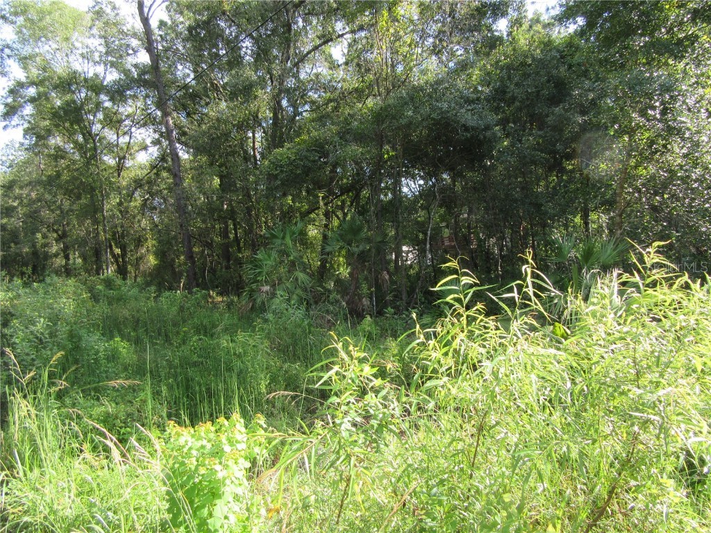 0 Alsip New Port Richey FL 34654 W7853025 image1