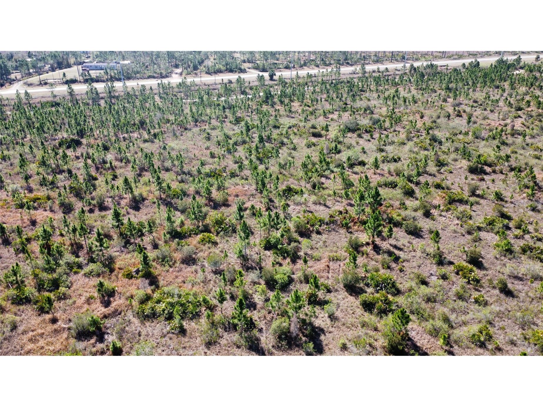 0 Althea Drive Lake Wales FL 33898 TB8474788 image2