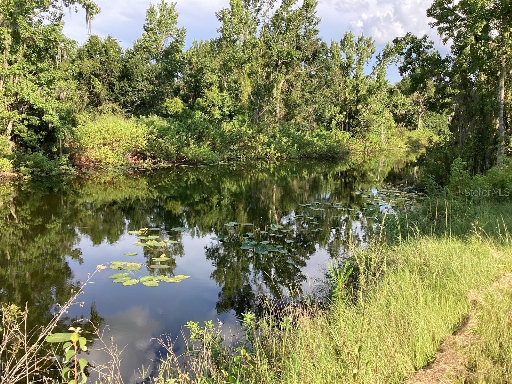 0 Alton Carlton Road Wauchula FL 33873 A4573647 image1