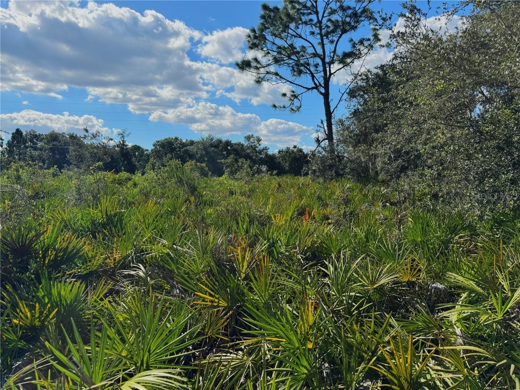 0 Alturas Babson Park Cut Off Road Bartow FL 33830 TB8438524 image10