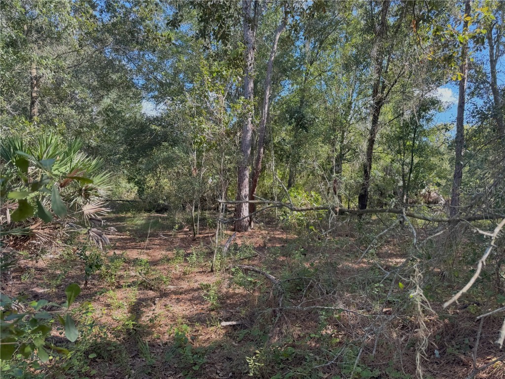 0 Alturas Babson Park Cut Off Road Bartow FL 33830 TB8438524 image13