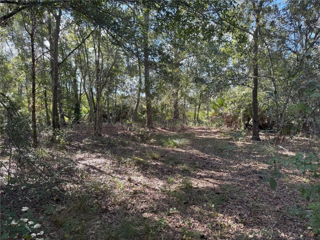 0 Alturas Babson Park Cut Off Road Bartow FL 33830 TB8438524 image16