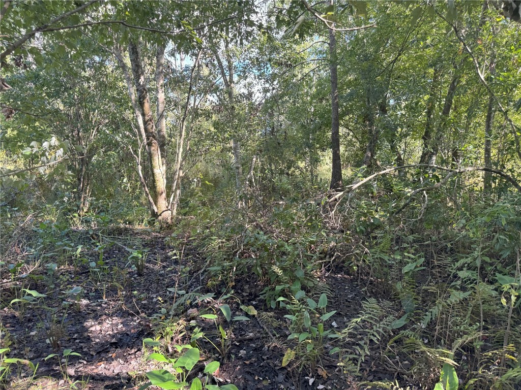 0 Alturas Babson Park Cut Off Road Bartow FL 33830 TB8438524 image17