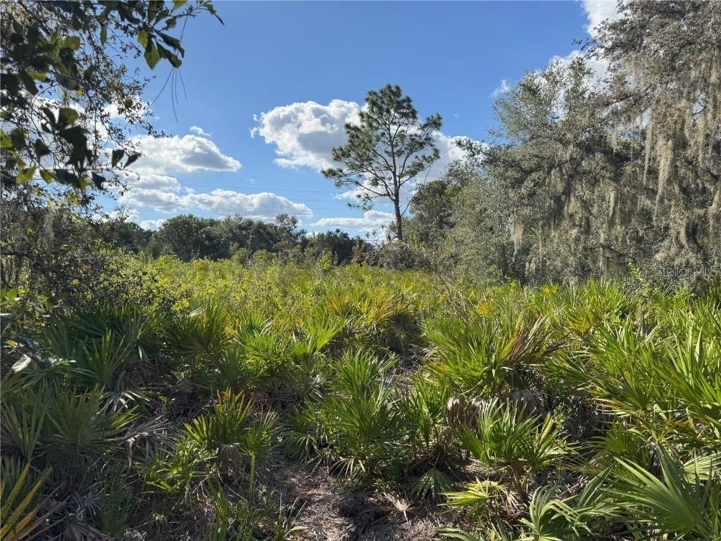0 Alturas Babson Park Cut Off Road Bartow FL 33830 TB8438524 image18