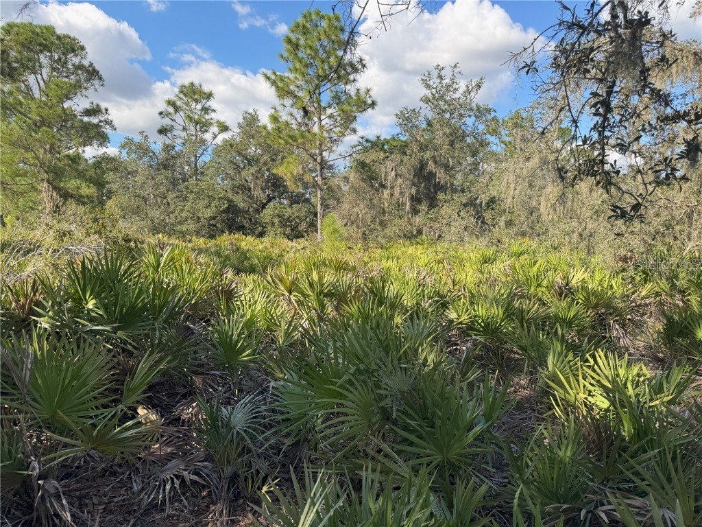0 Alturas Babson Park Cut Off Road Bartow FL 33830 TB8438524 image19