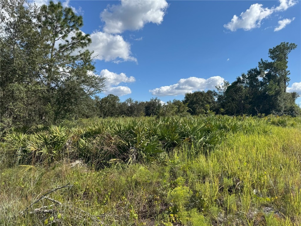 0 Alturas Babson Park Cut Off Road Bartow FL 33830 TB8438524 image20