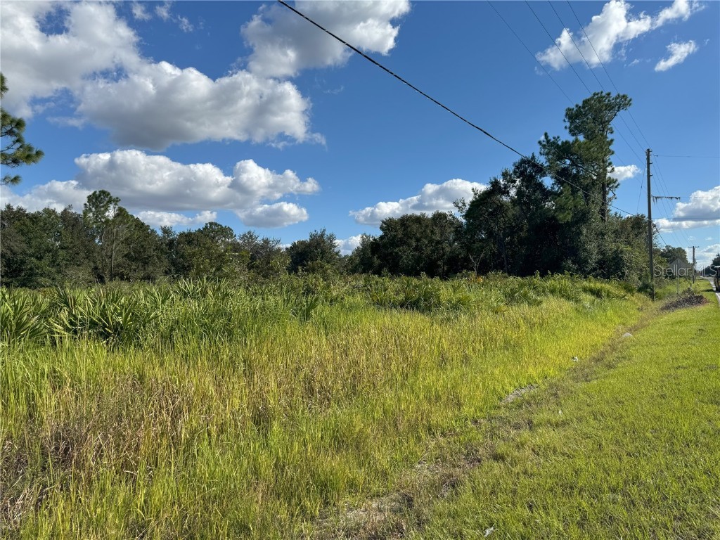 0 Alturas Babson Park Cut Off Road Bartow FL 33830 TB8438524 image21