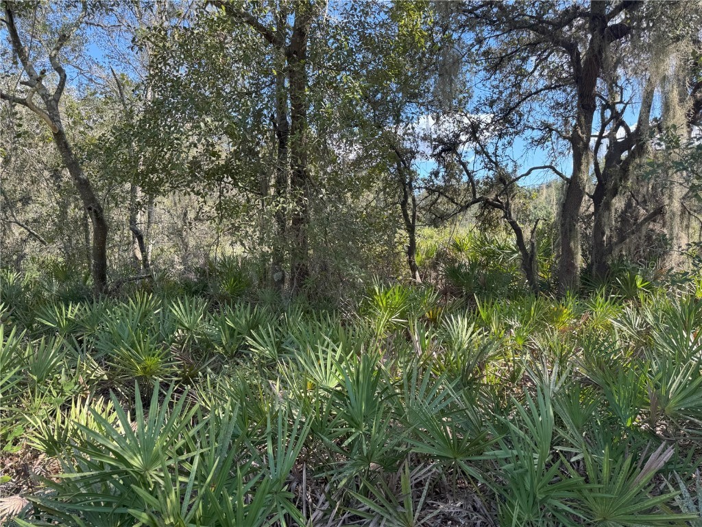 0 Alturas Babson Park Cut Off Road Bartow FL 33830 TB8438524 image4