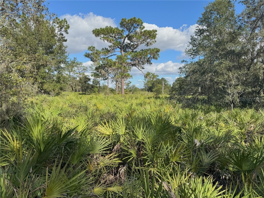 0 Alturas Babson Park Cut Off Road Bartow FL 33830 TB8438524 image6