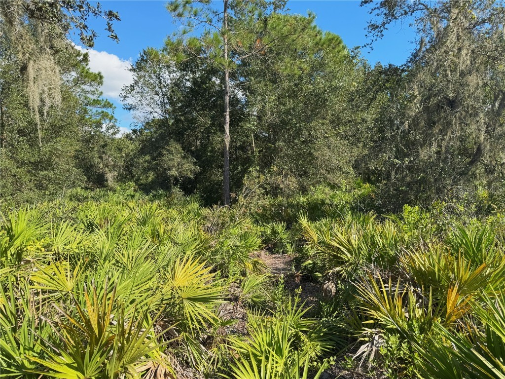 0 Alturas Babson Park Cut Off Road Bartow FL 33830 TB8438524 image9