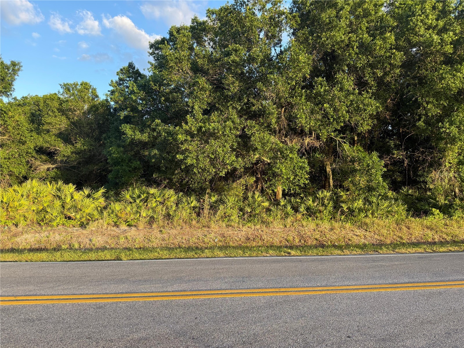0 Alturas Babson Park Cutoff Road Lake Wales FL 33859 S5151349 image1