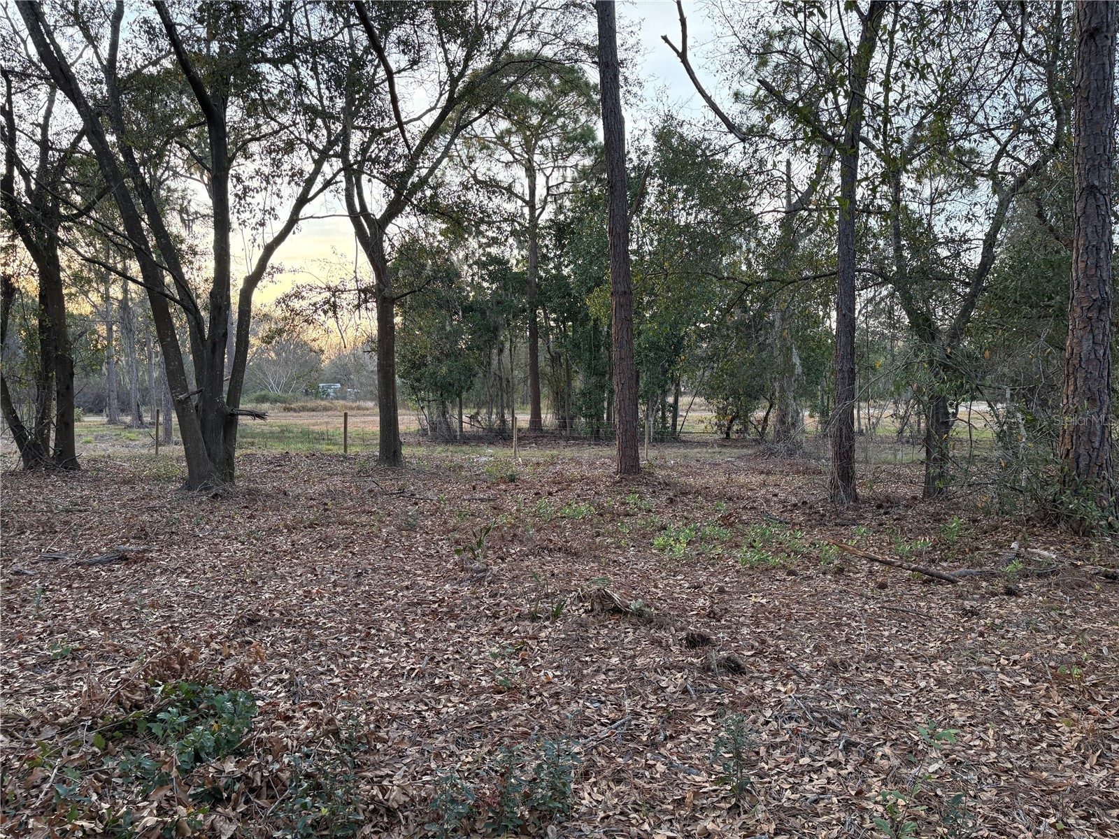 0 Alturas Babson Park Cutoff Road #LOT 78 Bartow FL 33830 G5108534 image1