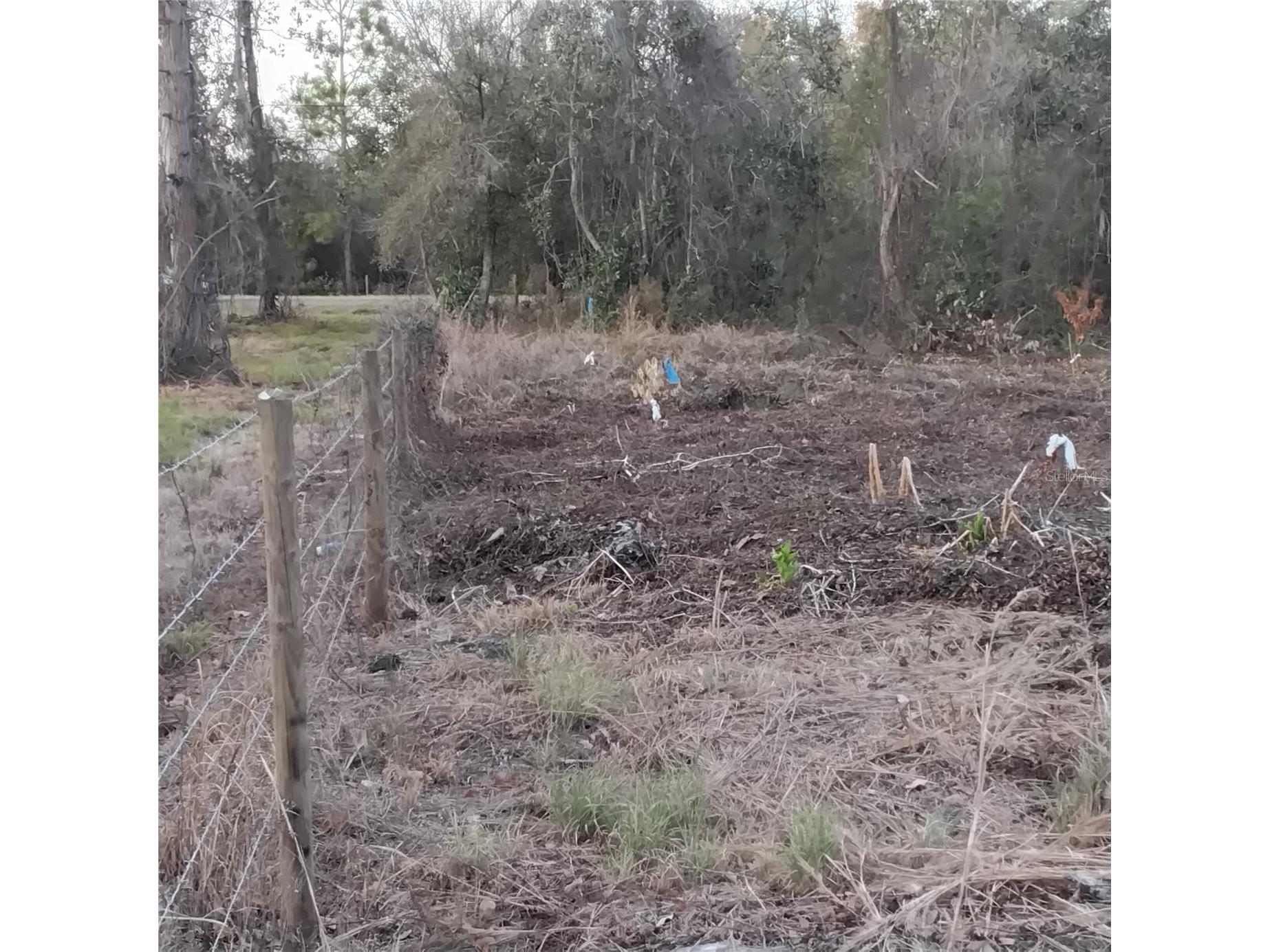 0 Alturas Babson Park Cutoff Road #LOT 78 Bartow FL 33830 G5108534 image10