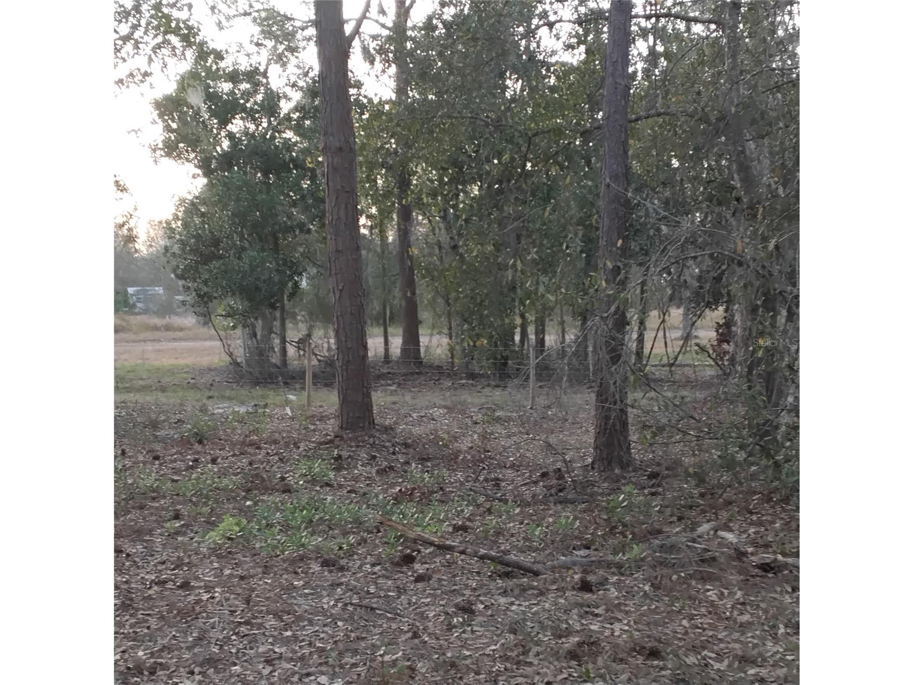 0 Alturas Babson Park Cutoff Road #LOT 78 Bartow FL 33830 G5108534 image11
