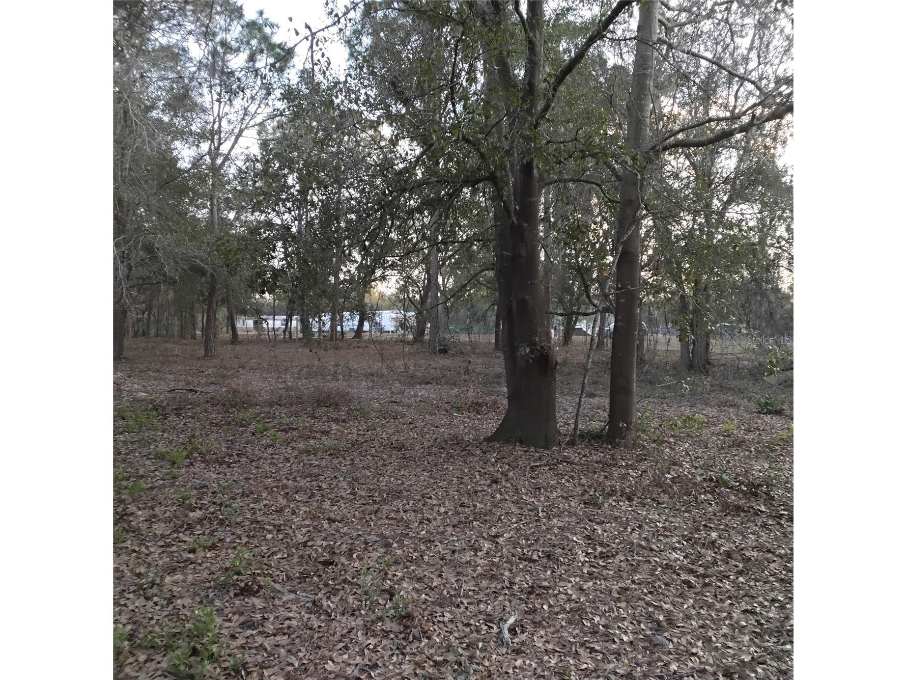 0 Alturas Babson Park Cutoff Road #LOT 78 Bartow FL 33830 G5108534 image12