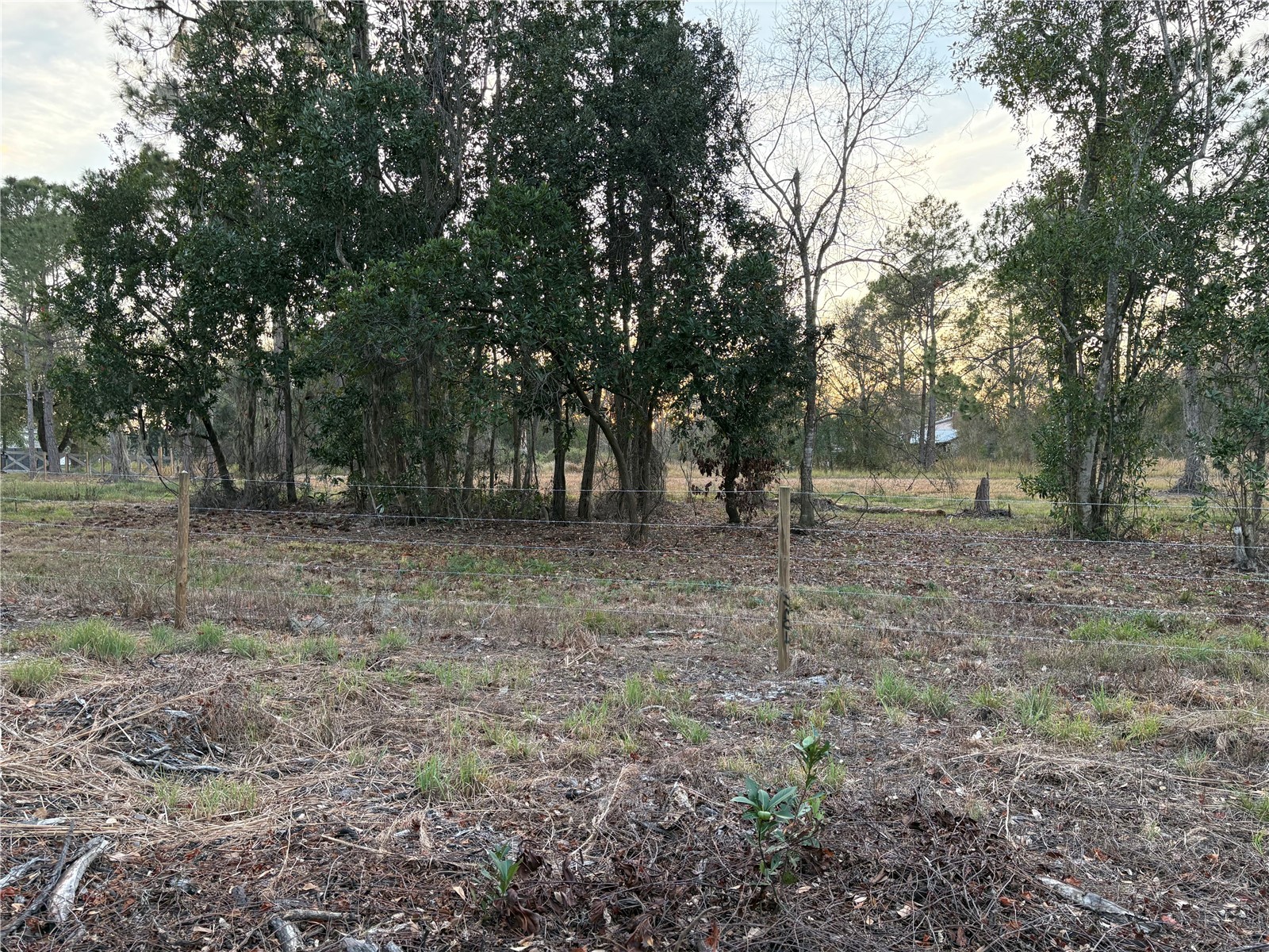0 Alturas Babson Park Cutoff Road #LOT 78 Bartow FL 33830 G5108534 image13