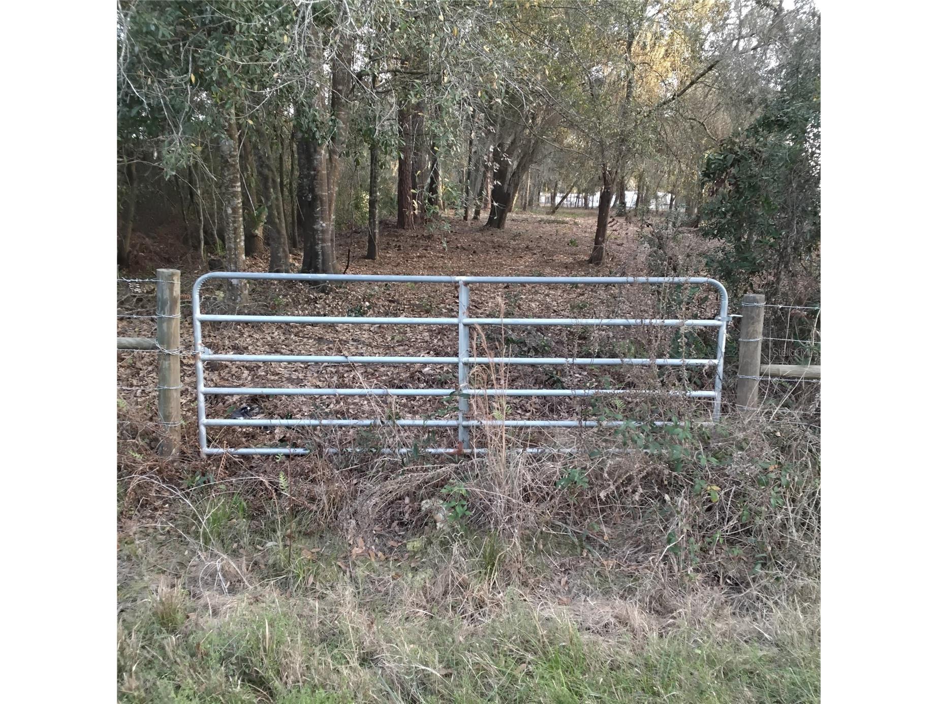 0 Alturas Babson Park Cutoff Road #LOT 78 Bartow FL 33830 G5108534 image2
