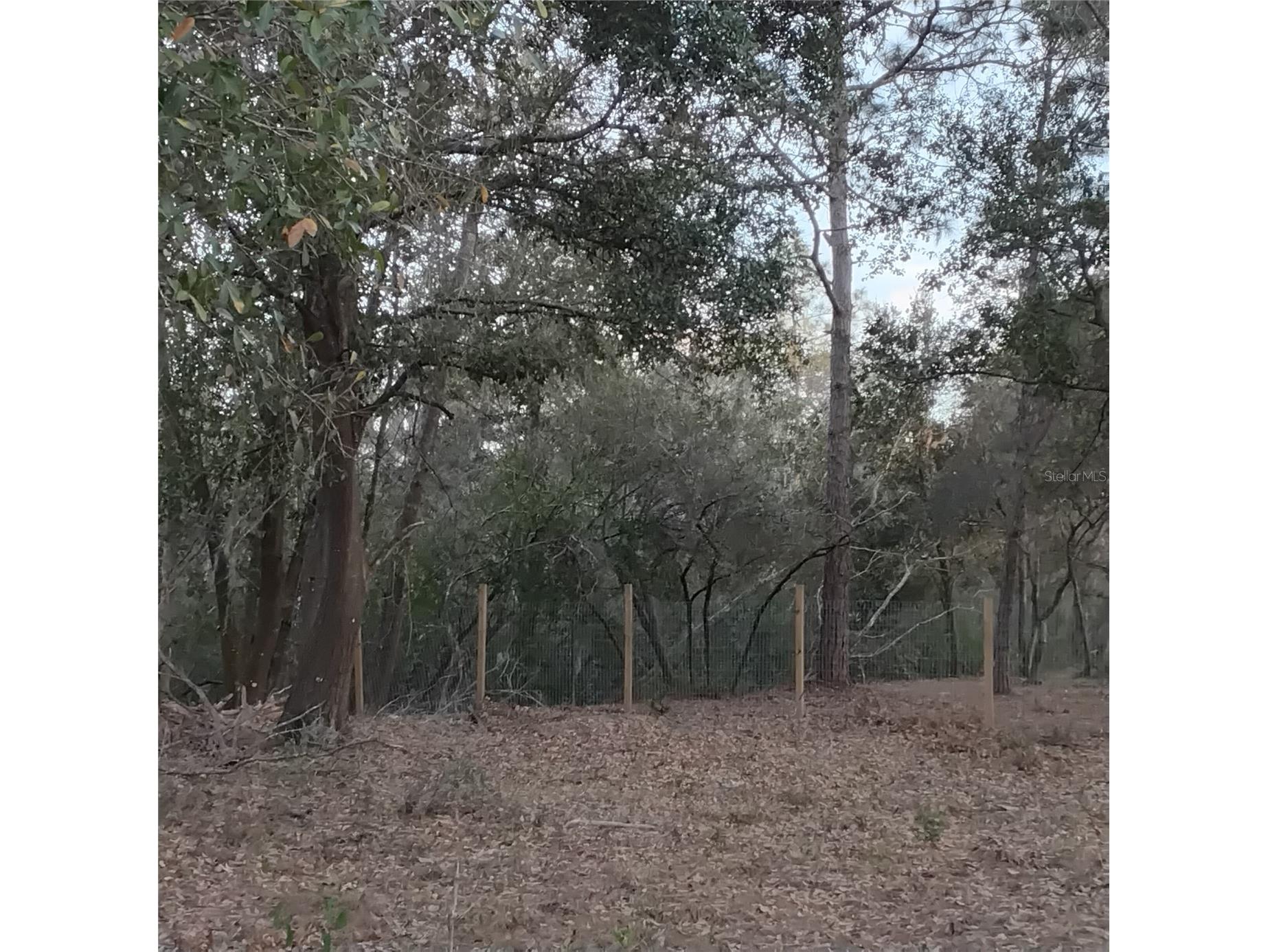 0 Alturas Babson Park Cutoff Road #LOT 78 Bartow FL 33830 G5108534 image4