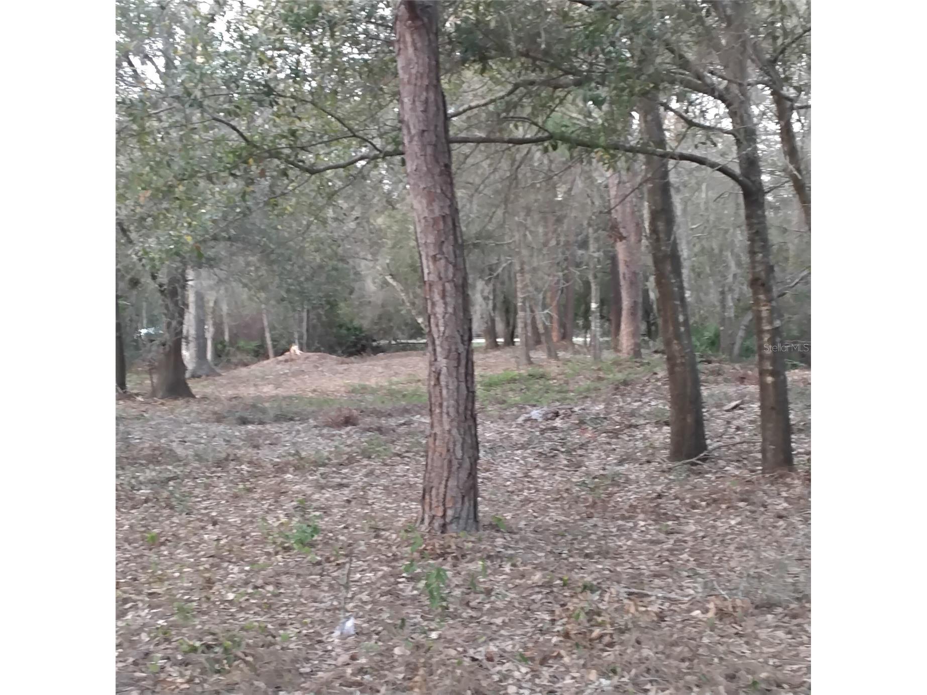 0 Alturas Babson Park Cutoff Road #LOT 78 Bartow FL 33830 G5108534 image6