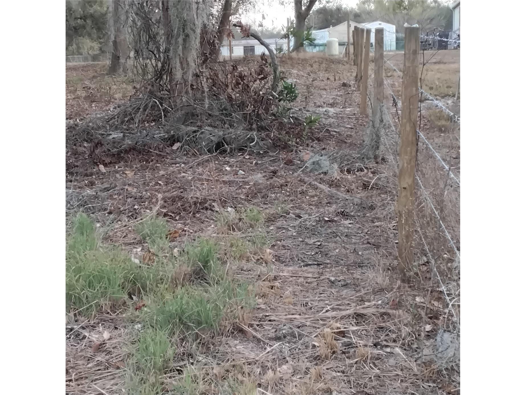 0 Alturas Babson Park Cutoff Road #LOT 78 Bartow FL 33830 G5108534 image9