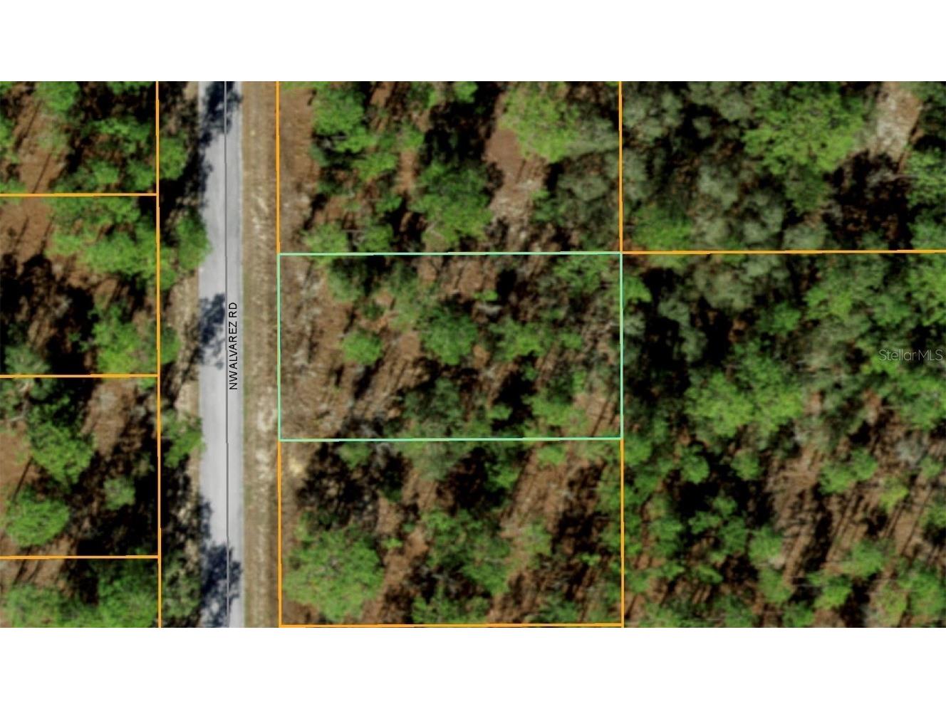 0 Alvarez Road Dunnellon FL 34431 O6360097 image1