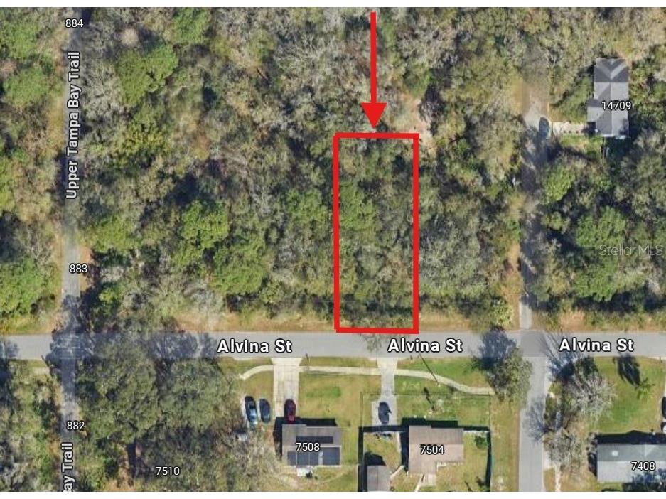 0 Alvina Street Tampa FL 33625 TB8405028 image1