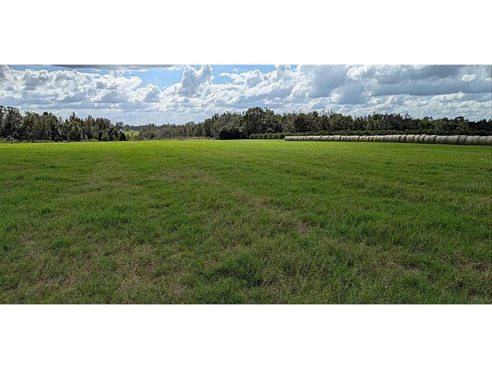 0 Amberlea Dade City FL 33523 TB8391801 image1