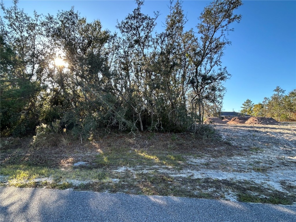 0 Amero Lane #13 Spring Hill FL 34609 S5116270 image3