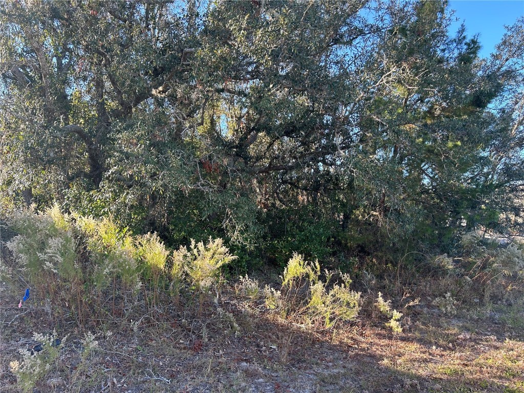 0 Amero Lane #13 Spring Hill FL 34609 S5116270 image4