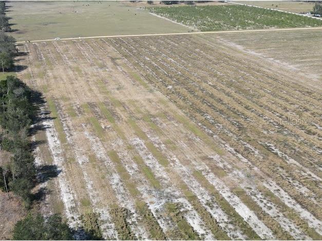 0 Angus Road Bartow FL 33830 L4934511 image1