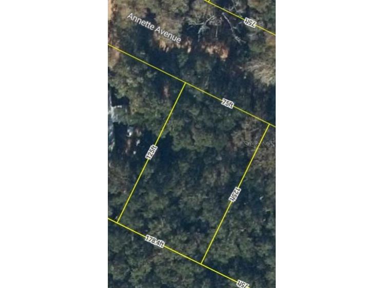 0 Annette Avenue Interlachen FL 32148 G5106195 image1