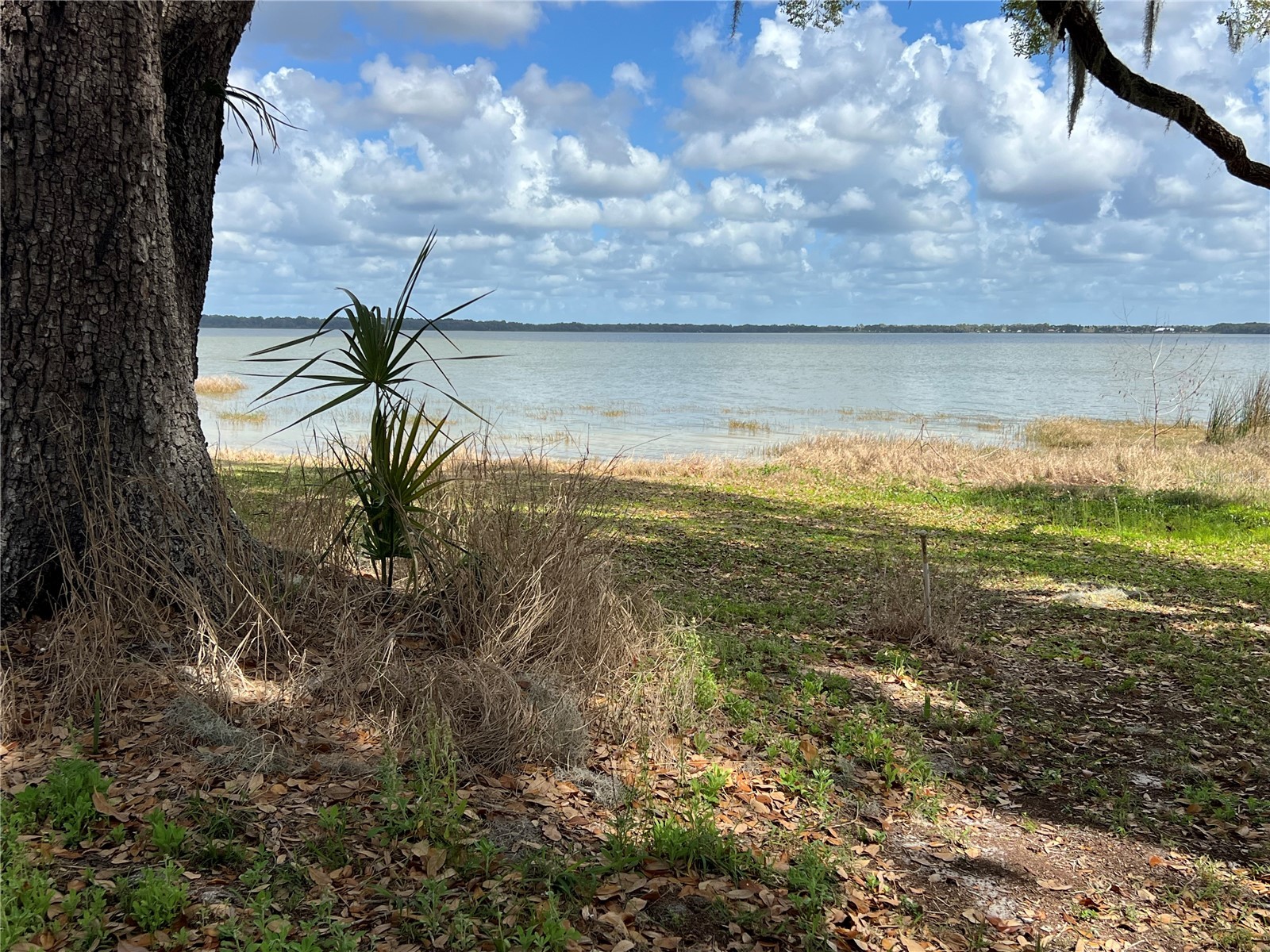 0 Apiary Circle Grand Island FL 32735 - LAKE YALE G5107812 image11