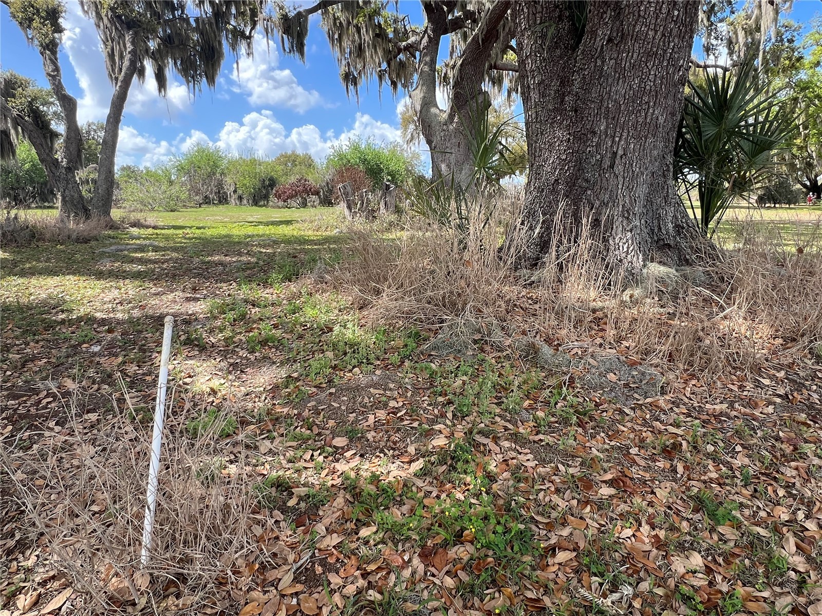 0 Apiary Circle Grand Island FL 32735 - LAKE YALE G5107812 image12