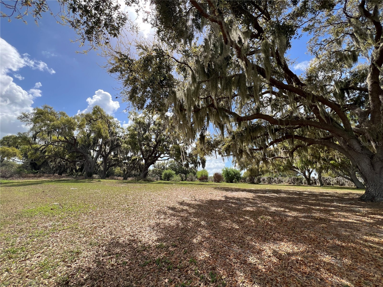 0 Apiary Circle Grand Island FL 32735 - LAKE YALE G5107812 image14