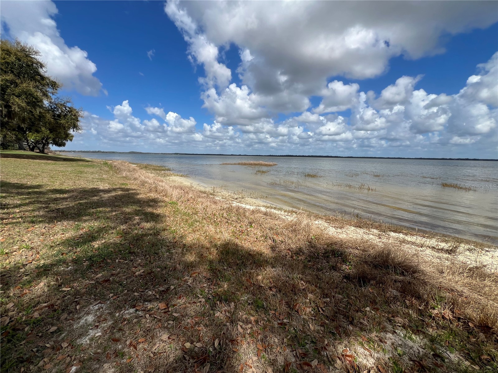 0 Apiary Circle Grand Island FL 32735 - LAKE YALE G5107812 image15