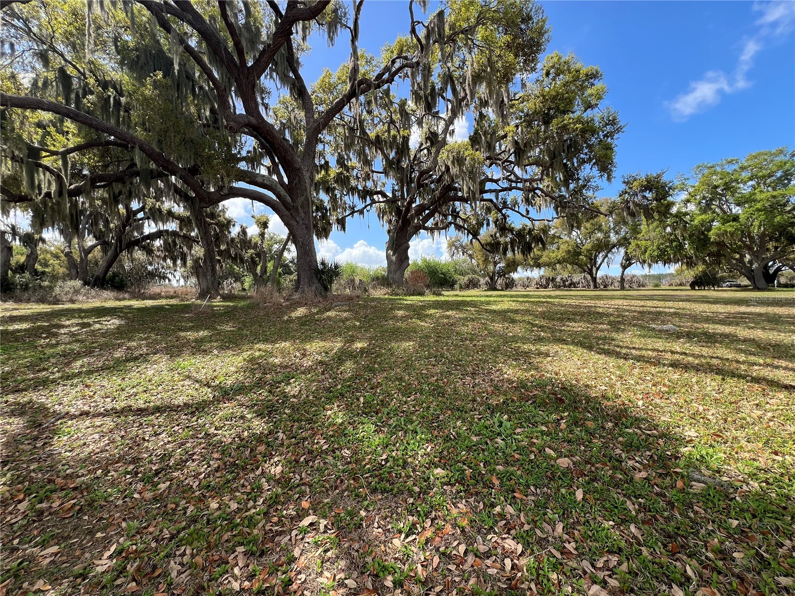 0 Apiary Circle Grand Island FL 32735 - LAKE YALE G5107812 image16
