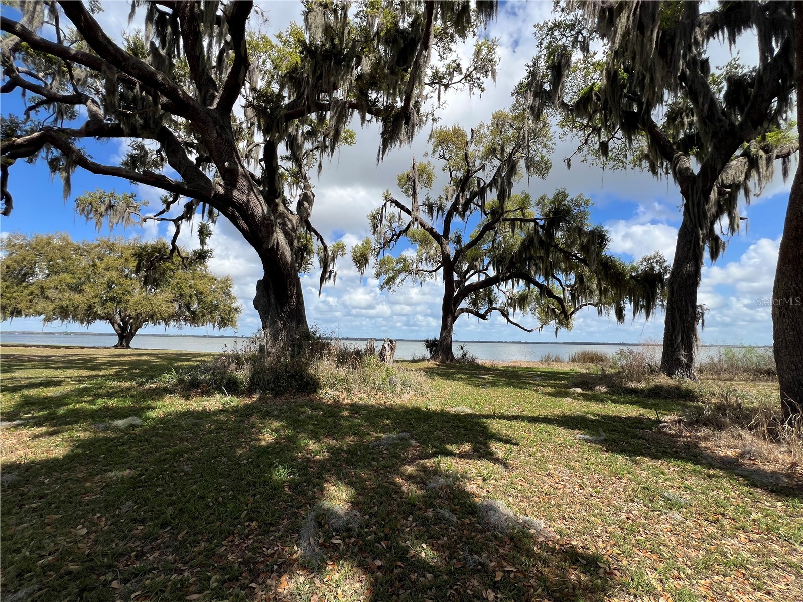 0 Apiary Circle Grand Island FL 32735 - LAKE YALE G5107812 image17