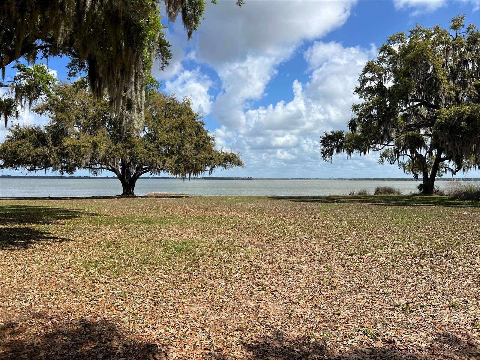 0 Apiary Circle Grand Island FL 32735 - LAKE YALE G5107812 image18