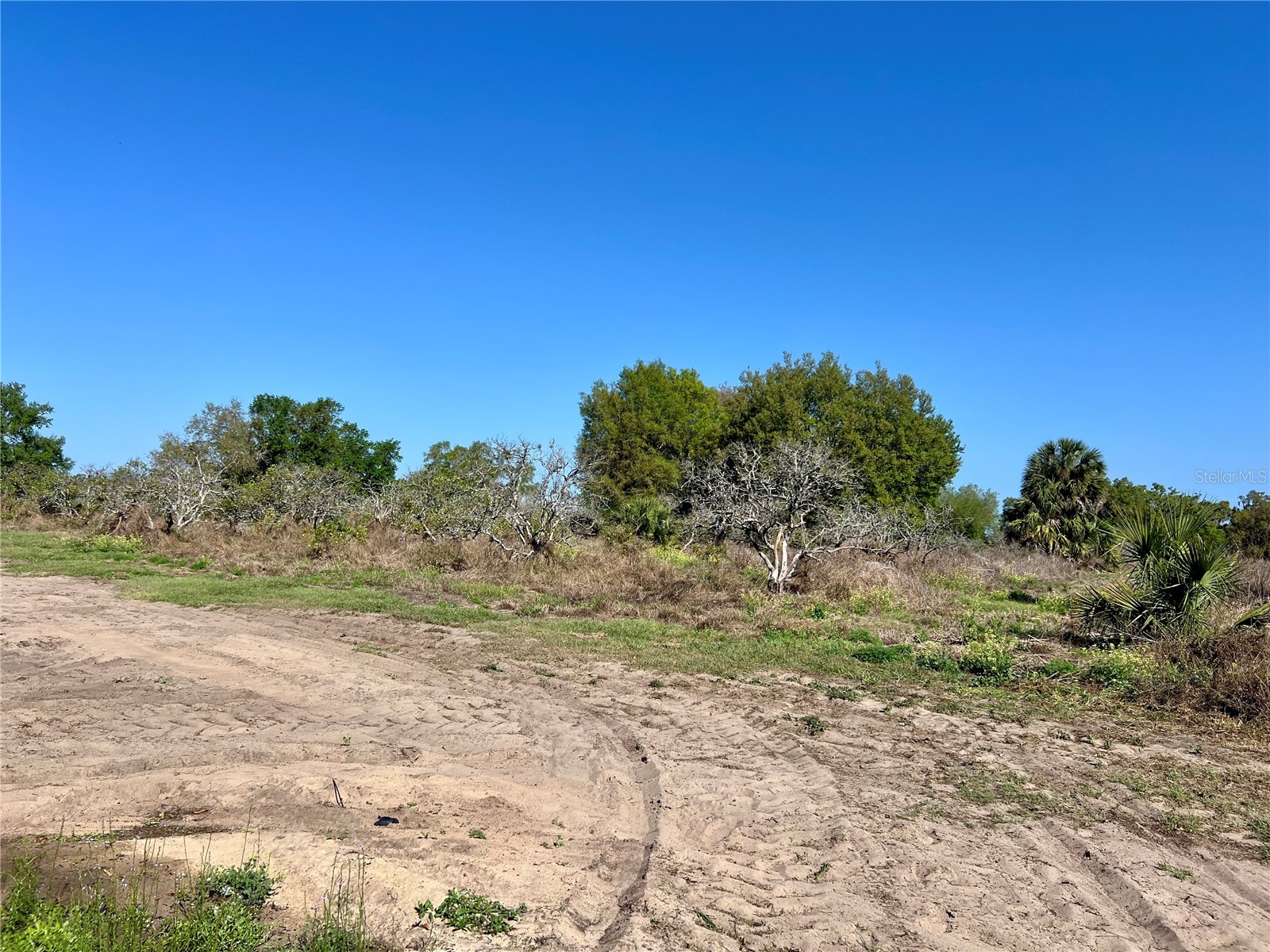 0 Apiary Circle Grand Island FL 32735 - LAKE YALE G5107812 image21