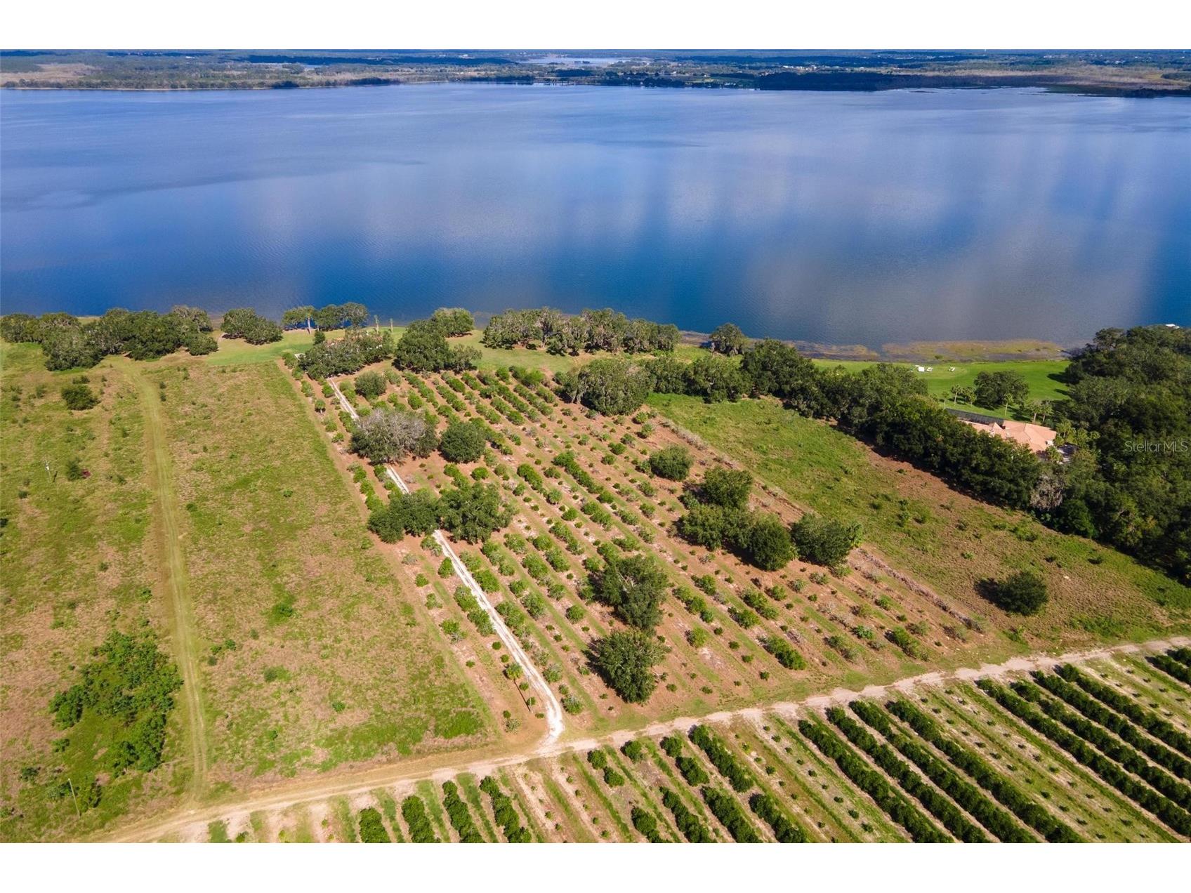 0 Apiary Circle Grand Island FL 32735 - LAKE YALE G5107812 image22