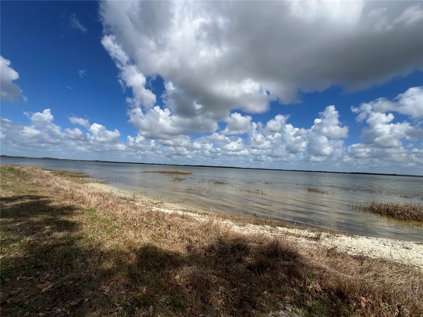 0 Apiary Circle Grand Island FL 32735 - LAKE YALE G5107812 image3