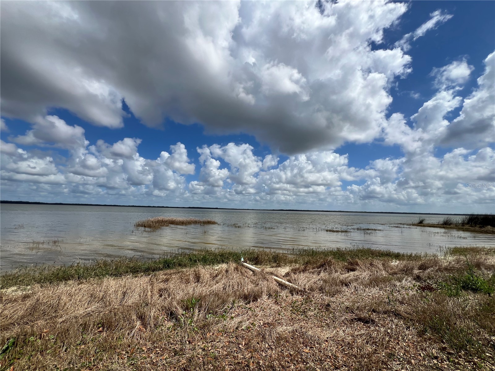 0 Apiary Circle Grand Island FL 32735 - LAKE YALE G5107812 image4