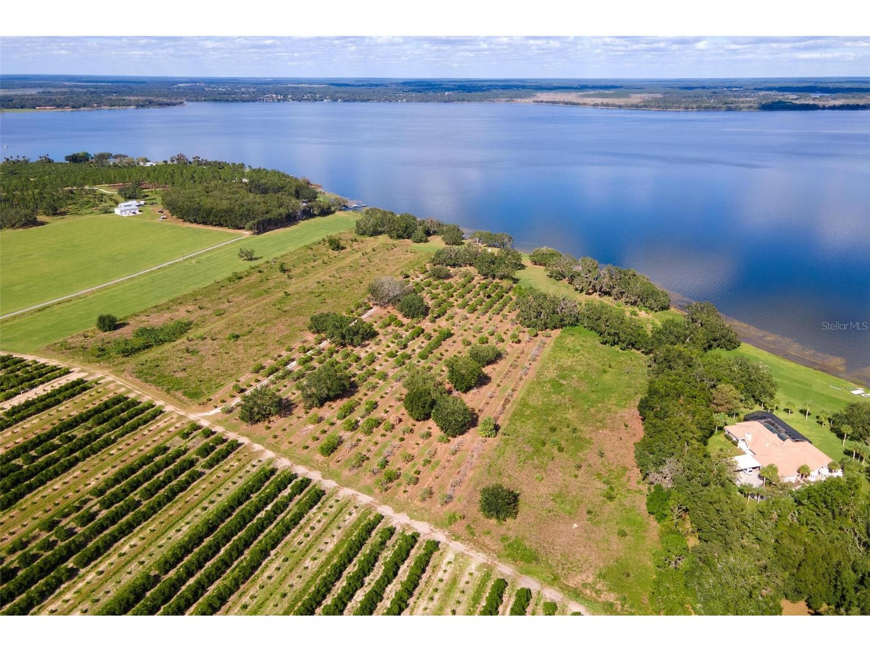 0 Apiary Circle Grand Island FL 32735 - LAKE YALE G5107812 image6