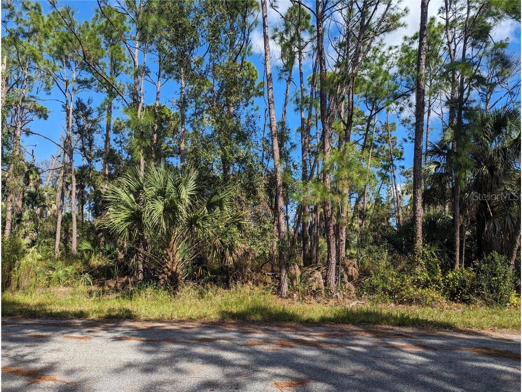 0 Apricola Road #LOT 14 North Port FL 34286 T3486908 image1